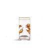 SELETTI Glass Vase - Lipsticks - Big