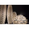 SLAMP Cactus Lampadaire xl