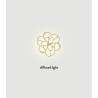 SLAMP Etoile Ceiling lamp / Wall Lamp
