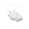 SELETTI Porzellanvase "Love In Bloom" - Box | Lightandshade