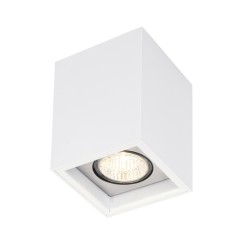 PSM Lighting Betaplus 1701.Es50 Plafonnier