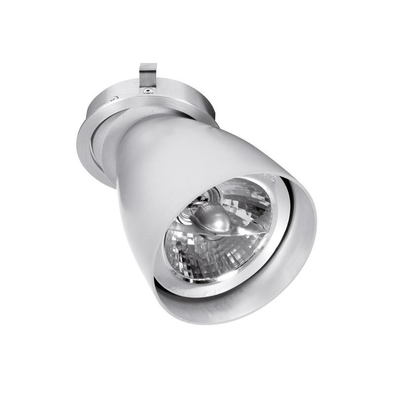 PSM Lighting Ø80 Convertible System Caspolka.Ar70Gu10 Spot Encastrable
