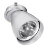 PSM Lighting Ø80 Convertible System Caspolka.Ar70Gu10 Spot Encastrable
