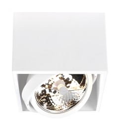 PSM Lighting Spinner X 1861 Plafonnier