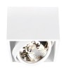 PSM Lighting Spinner X 1861 Plafonnier