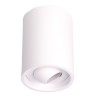 PSM Lighting Cameleon 1511.Zxo Plafonnier