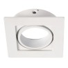 PSM Lighting Ø80 System 80D.Czl.Vario 