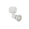 PSM Lighting Capucine 4500 Plafonnier