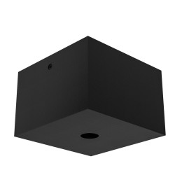 PSM Lighting Rosette Up 027