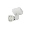 PSM Lighting Capucine 4510 Plafonnier
