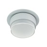 PSM Lighting Manta W3155 Plafonnier