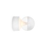 Trizo21 Bouly W/C D+B plafonnier