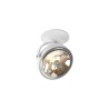 Trizo Pin-In 1C ceiling lamp