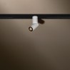 TAL MICROSCOOP TRACK 48V SINGLE éclairage sur rail