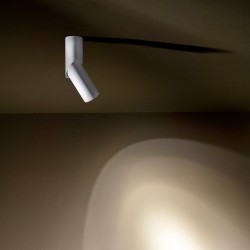 TAL LIGHTING MINI SCOOP DEIMOS CI plafondlamp