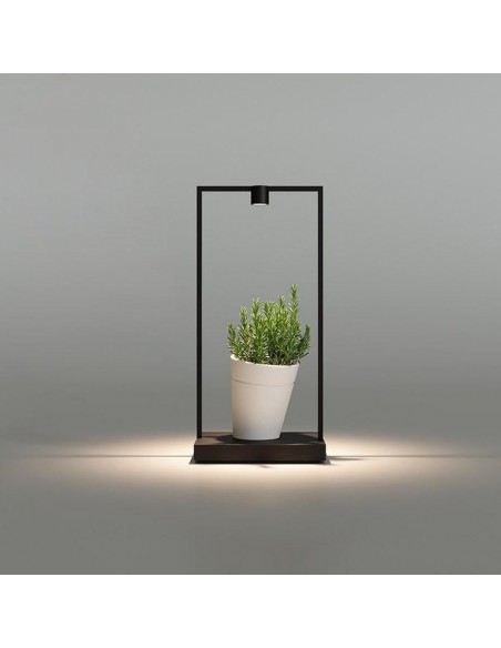 Artemide Curiosity 45 / FOCUS Lampe de table