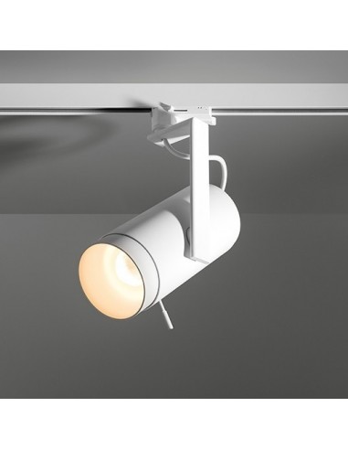 Modular Spektra track LED 15°55° beam GI