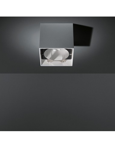 Modular Smart surface box 115 1x LED GI Ceiling lamp