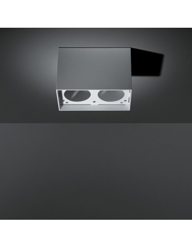 Modular Smart surface box 82 2x LED GI Plafonnier