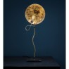 Catellani & Smith Luce D’Oro T