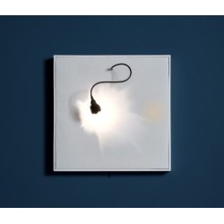 Catellani & Smith Luce Che Dipinge Canvas