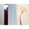 Catellani & Smith Sottovento 15