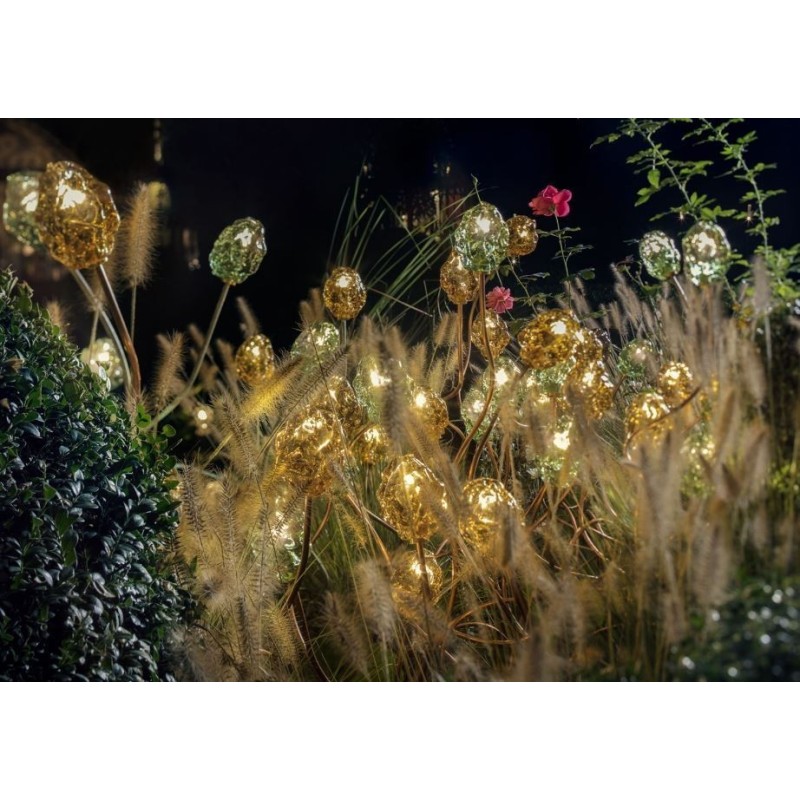 Catellani & Smith More F 100