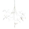 SELETTI SPARROW LAMP Servierteller 138 x 35,8 x 16,5 cm