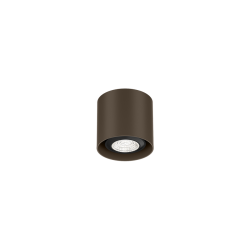 Wever & Ducré RAY MINI 1.0 PAR16 Ceiling lamp