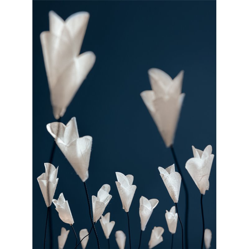 Catellani & Smith For You Lampe de Table
