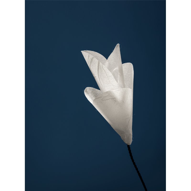 Catellani & Smith For You Lampe de Table