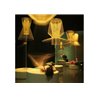 Foscarini Allegro Assai Led lampe a suspension