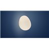 Foscarini Gregg Piccola Wall/Ceiling Plafonnier / Applique