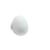 Foscarini Gregg Midi Wall/Ceiling Plafonnier / Applique