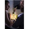 Foscarini Fleur Table Lampe De Table