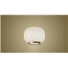 Foscarini Chouchin 1 Reverse Susp. 10M Lampe A Suspension