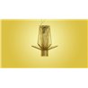 Foscarini Allegretto Assai Susp. 10M Lampe A Suspension
