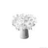 SLAMP Clizia Lampe de table