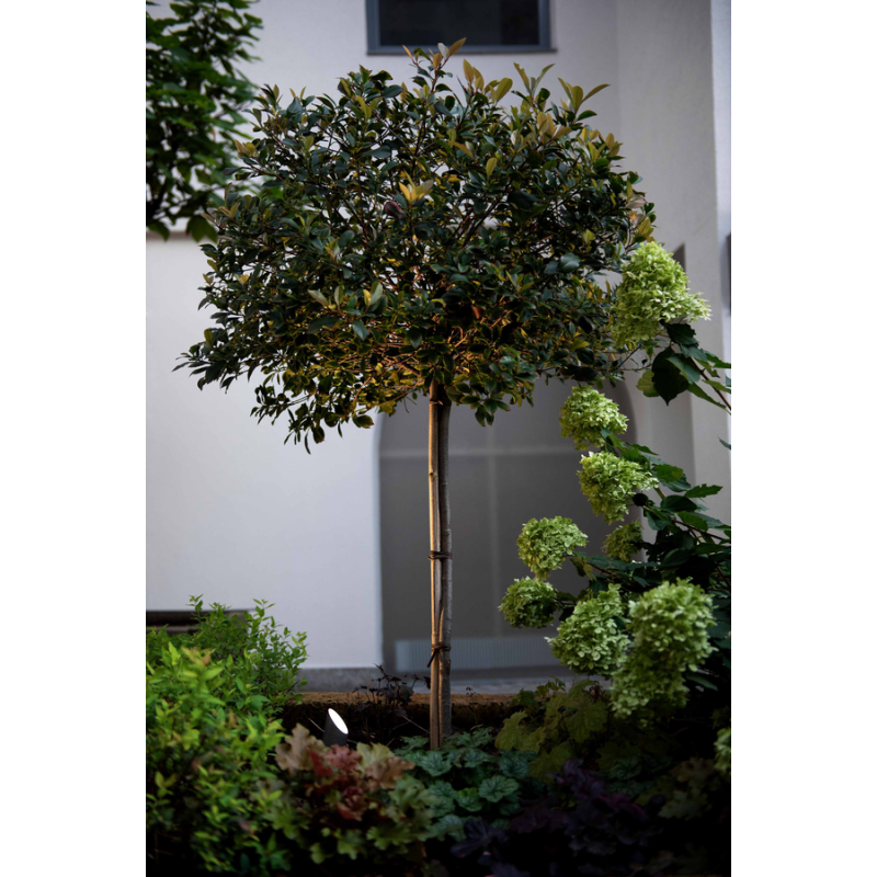 Wever & Ducré Stipo Outdoor Floor Proj 2.0 Led Bodenlampe