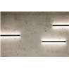 Delta Light Femtoline W Down-Up 1200 applique