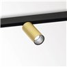 Delta Light M26L - HEDRA DIM5 Éclairage sur rail