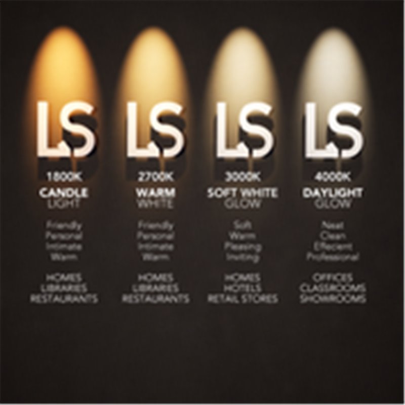 Delta Light M - DOT.COM WALLWASH 06 MDL Éclairage sur rail