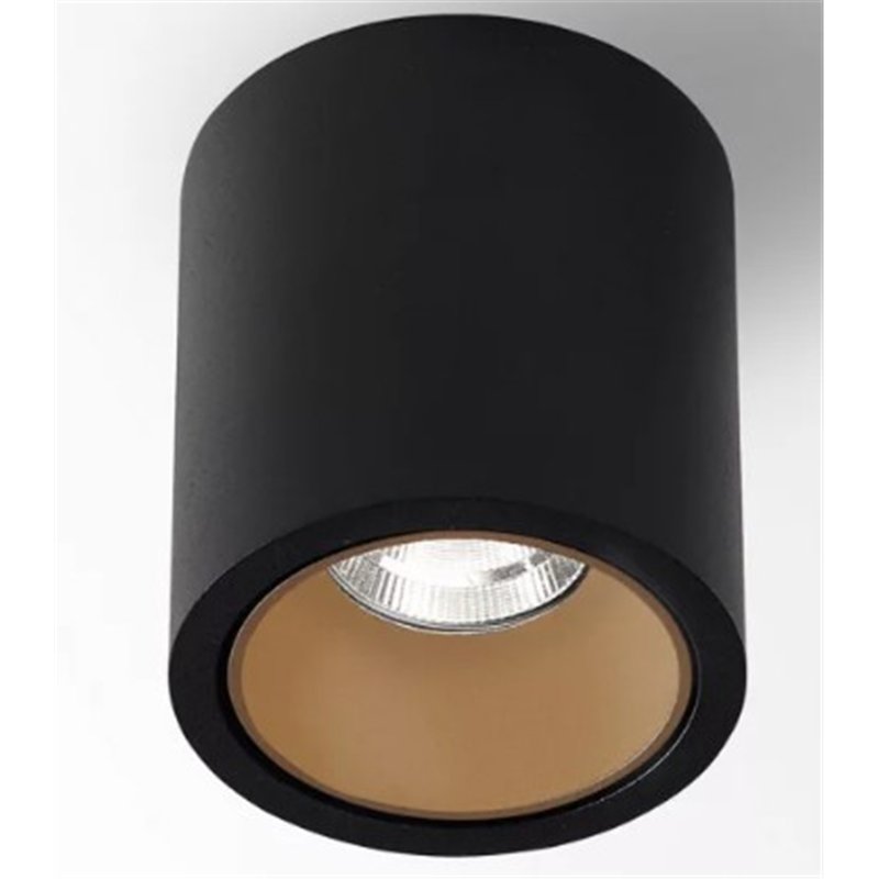 Delta Light R HE Plafonnier