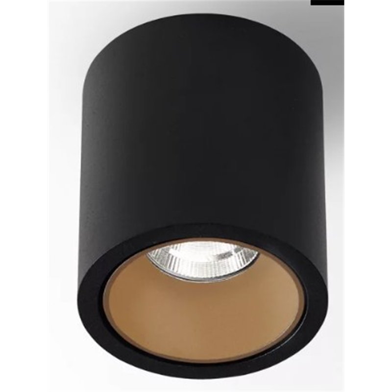 Delta Light R HE Plafonnier