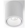 Delta Light R HE Plafonnier