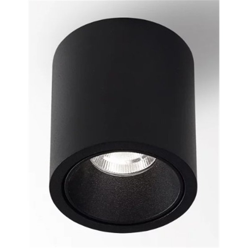 Delta Light R HE Plafonnier