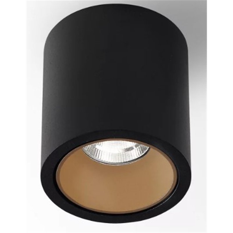 Delta Light R HE Plafonnier