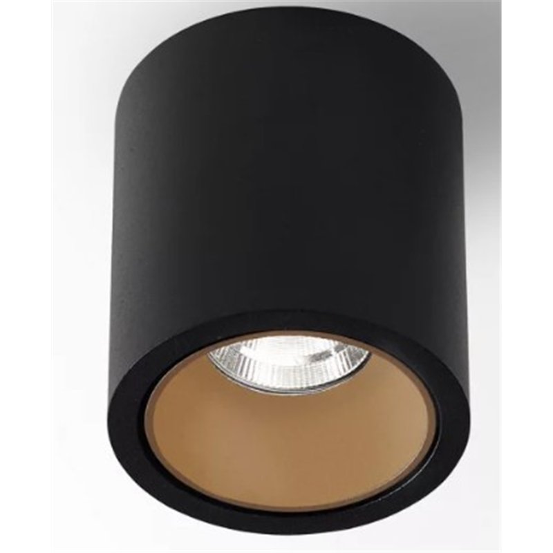 Delta Light R HE Plafonnier
