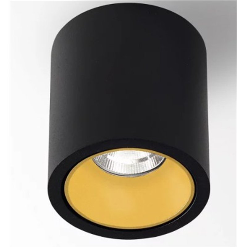 Delta Light R HE Plafonnier