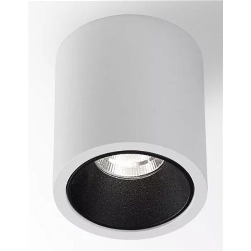 Delta Light R HE Plafonnier